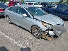 5NPE24AF4GH****** Salvage and Wrecked 2016 Hyundai Sonata in Memphis