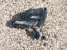 3KPF54AD0KE****** Wrecked 2019 Kia Forte in Texas State
