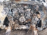 1FTRX12W48F****** Repairable 2008 Ford F-150 in Lexington