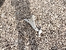 1C4RJFAG7KC****** Destrozados 2019 Jeep Grand Cherokee en Estado de Ohio