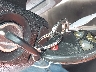 1GNKRGED2BJ****** Salvamento 2011 Chevrolet Traverse en Estado de Texas