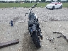 1HD1GNM13HC****** Salvage and Wrecked 2017 Harley-Davidson Low Rider in Florida State