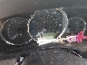 2T1BURHEXEC****** Salvage and Repairable 2014 Toyota Corolla in Missouri State