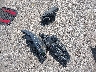 JN1BJ1CP3HW****** Salvage 2017 Nissan Rogue Sport in Illinois State