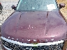 5XYP34HC8LG****** Salvage and Repairable 2020 Kia Telluride in Roanoke
