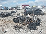 A6HMDZZ0PNB****** Salvage and Wrecked 2022 Coleman 550 Cc in Little Rock