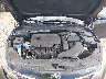 5XXGT4L31KG****** Repairable 2019 Kia Optima in Houston North