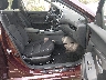 3N1AB8CV5SY****** Used and Repairable 2025 Nissan Sentra in Virginia State