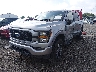 1FTEW1EP2PK****** Usados y Reparables 2023 Ford F-150 en Indianapolis