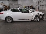5XXGN4A73DG****** Repairable 2013 Kia Optima in Minnesota State