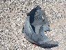 3VWD67AJ4GM****** Wrecked 2016 Volkswagen Jetta in South Carolina State