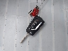 3KPF24AD8KE****** Salvage 2019 Kia Forte in California State