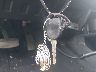 1FTWW3BR0AE****** Salvamento 2010 Ford Super Duty F-350 en Estado de Maryland