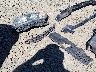 1HGCR2F37FA****** Repairable 2015 Honda Accord