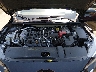 3N1AB8BV6SY****** Reparables 2025 Nissan Sentra en Raleigh