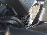 ML5EXER18RD****** Repairable 2024 Kawasaki Ninja 650 in Rec Rides Online Exclusive