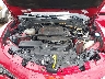 ZASPAKBNXK7****** Repairable 2019 Alfa Romeo Stelvio in Houston North