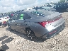 KMHLS4DG0RU****** Salvamento y Reparables 2024 Hyundai Elantra en Houston