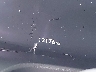 JTJVBCDX5R5****** Wrecked 2024 Lexus GX 550