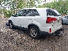 5XYKT3A65EG****** Salvamento y Reparables 2014 Kia Sorento en Suffolk