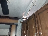5SFRG4321KE****** Salvage and Repairable 2019 Heartland RV Elk Ridge, Elk Ridge Express Xtreme Light & Prowler FW  & Pioneer FW in Florida State