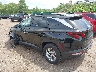 5NMJBCDE7RH****** Salvage and Repairable 2024 Hyundai Tucson in Minneapolis Saint Paul