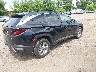 5NMJBCDE7RH****** Salvage and Wrecked 2024 Hyundai Tucson in Minnesota State