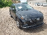5NMJBCDE7RH****** Salvage and Repairable 2024 Hyundai Tucson in Minnesota State
