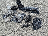 1V2KR2CA9JC****** Destrozados 2018 Volkswagen Atlas en Estado de Oregón