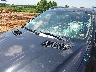 4JGBF7BE4CA****** Salvamento y Reparables 2012 Mercedes-Benz Gl 450 en Estado de Missouri