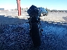ZDM14BUWXFB****** Salvage and Repairable 2015 Ducati Superbike in California State