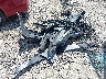 KMHLL4DG2SU****** Wrecked 2025 Hyundai Elantra in Texas State