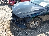 KMHLL4DG2SU****** Salvage and Repairable 2025 Hyundai Elantra in Texas State