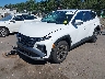 5NMJCCDE5TH****** Usados y Reparables 2026 Hyundai Tucson en Long Island