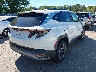 5NMJCCDE5TH****** Salvamento y Destrozados 2026 Hyundai Tucson en Estado de Nueva York
