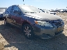 4T4BF3EK2BR****** Salvage and Wrecked 2011 Toyota Camry in Phoenix