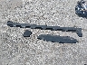 KL4AMBS22RB****** Wrecked 2024 Buick Encore in Illinois State