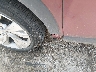 KL4AMBS22RB****** Salvage and Repairable 2024 Buick Encore in Illinois State