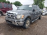 1FTFW1EF1DK****** Used and Repairable 2013 Ford F-150 in Oklahoma City