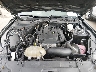 1FA6P8TH5K5****** Repairable 2019 Ford Mustang in Cleveland