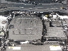 3VVUW7RM1TM****** Reparables 2026 Volkswagen Tiguan en Elkton