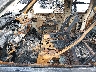 1GCSKSE35AZ****** Salvamento y Reparables 2010 Chevrolet Silverado 1500 en Estado de Ohio