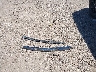 1GKKNLLS0MZ****** Wrecked 2021 GMC Acadia in Texas State
