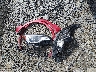 LRBFX1SA4LD****** Wrecked 2020 Buick Envision in West Virginia State