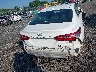 4T1L11BK3LU****** Destrozados 2020 Toyota Camry