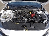3N1AB8CV0SY****** Repairable 2025 Nissan Sentra in Englishtown