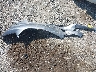 KL4CJCSM1KB****** Salvage 2019 Buick Encore in Georgia State