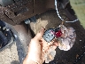 1G1ZB5E05CF****** Salvage 2012 Chevrolet Malibu in Massachusetts State