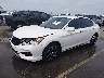 1HGCR2F80GA****** Usados y Reparables 2016 Honda Accord en Raleigh