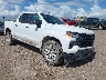 1GCPAAED3PZ****** Salvage and Wrecked 2023 Chevrolet Silverado 1500 in McAllen